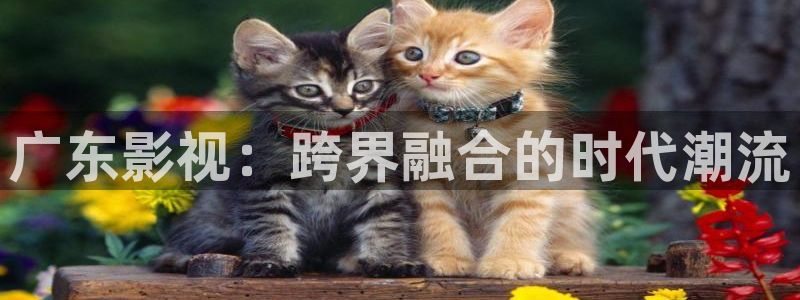 極速影院免費(fèi)高清電影：廣東影視：跨界融合的時(shí)代潮流