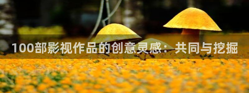 極速影院電視劇：100部影視作品的創(chuàng)意靈感：共同與挖掘